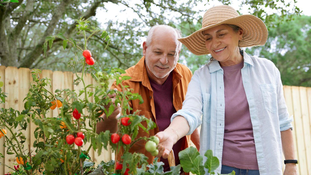 Man and woman gardening